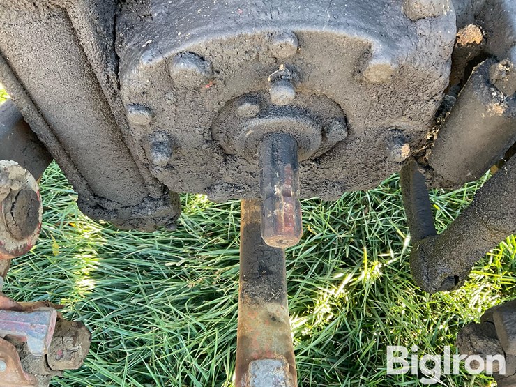 international-300-image-10