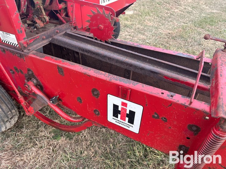 international-47-image-19