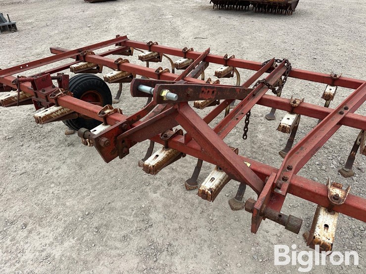 international-45-image-9