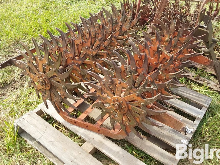 international-3-image-14