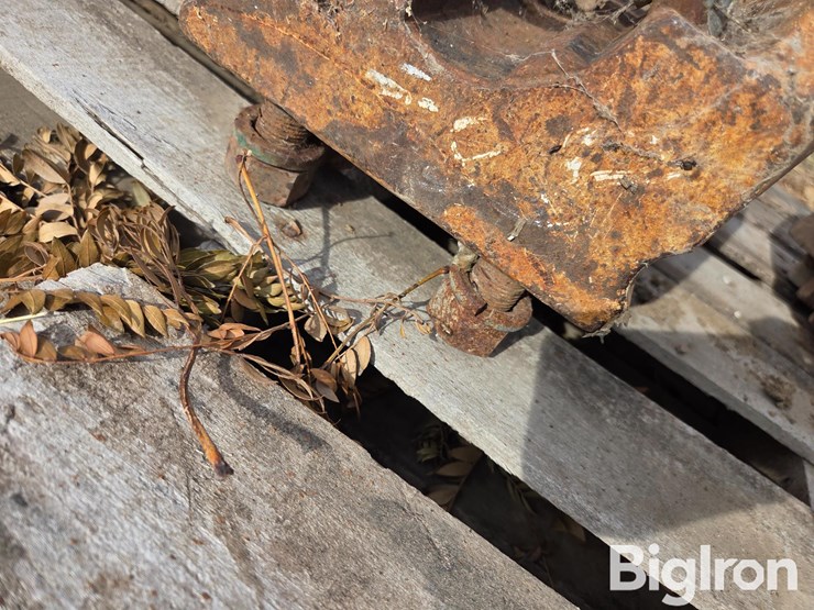 international-856-image-13