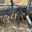 yetter-3546-image-15