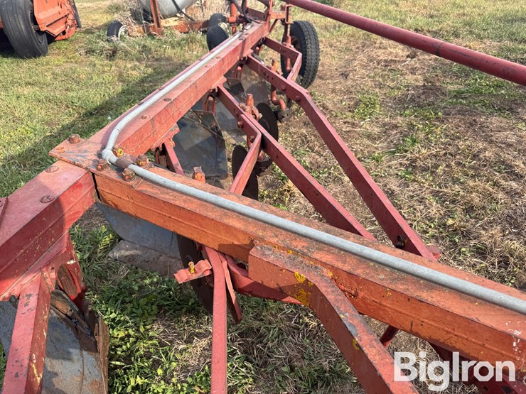 international-5-image-11