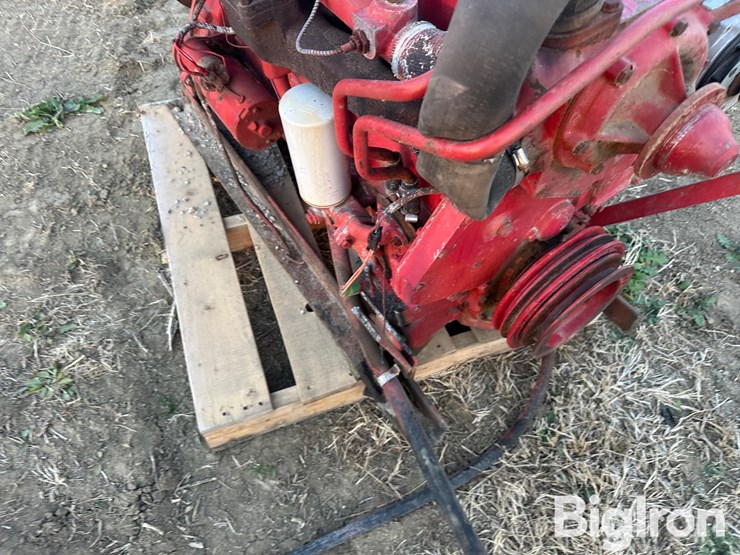 international-310-image-17