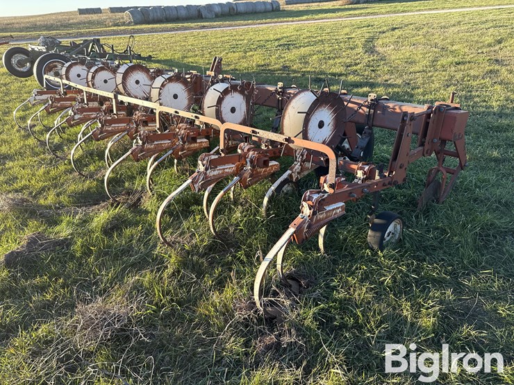 international-153-image-5