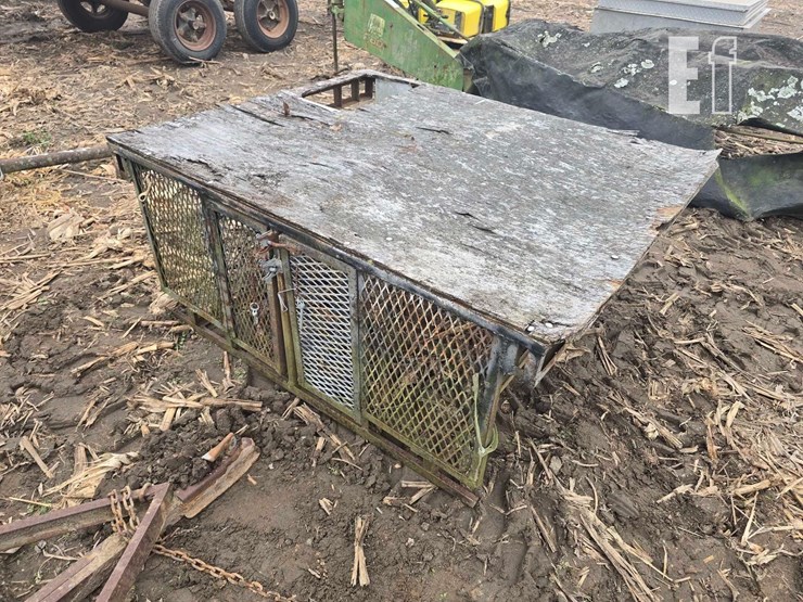 homemade-dog-image-3