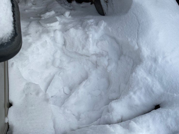 international-80-image-36