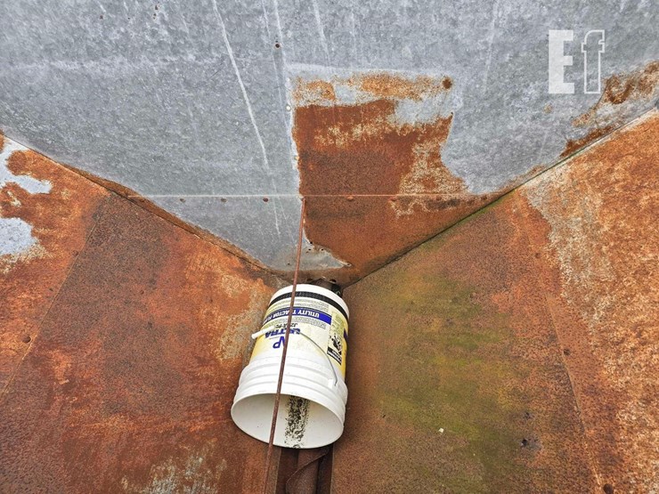 international-10-image-7