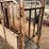 #207-•-for-most-cattle-chute-with-head-gate-(boyceville,-wi)-image-15