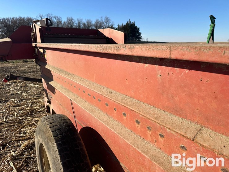 kelly-ryan-5x12-image-12