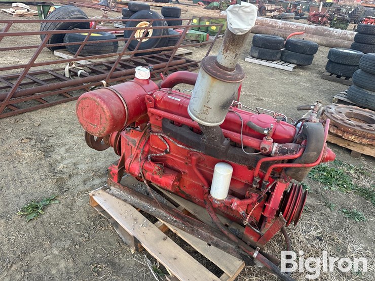 international-310-image-1