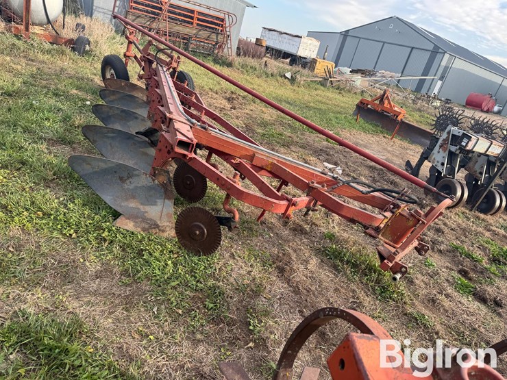 international-5-image-2