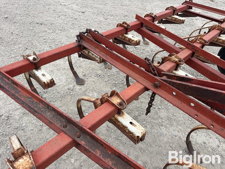 international-45-image-12