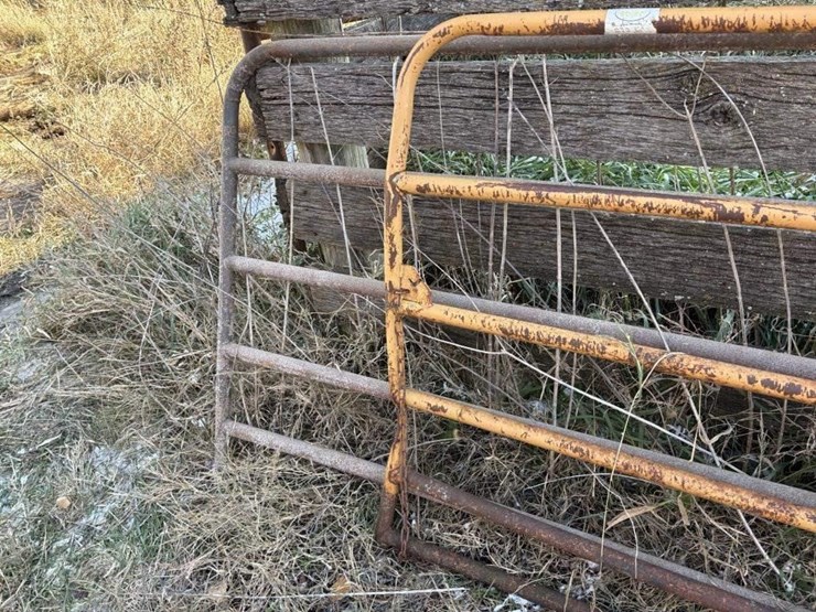 10'-&-12'-gates-image-3