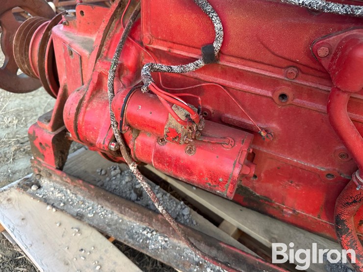 international-310-image-11