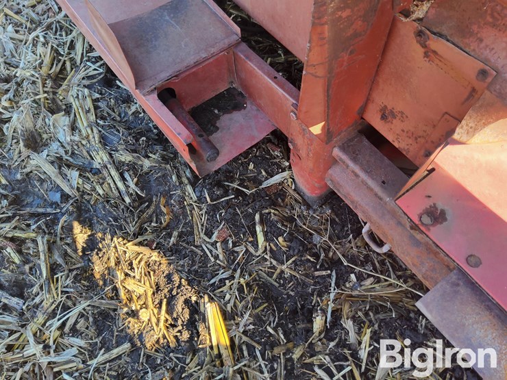 international-863-image-20