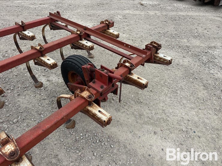 international-45-image-15