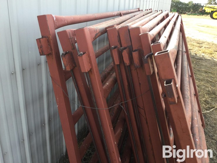 metal-livestock-panels-image-9