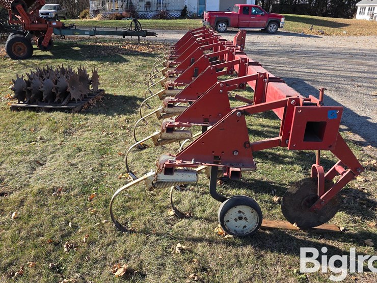 international-133-image-4