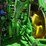 john-deere-8295r-image-4