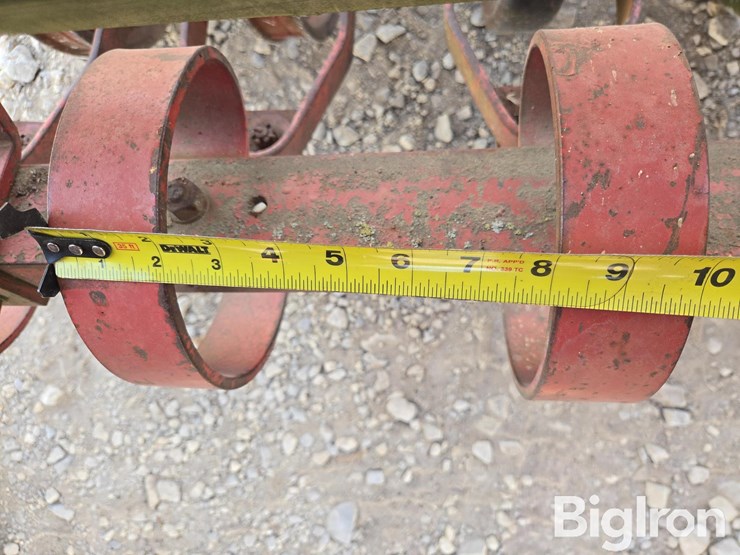 international-10-image-16