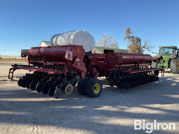 sunflower-9433-40-image-5