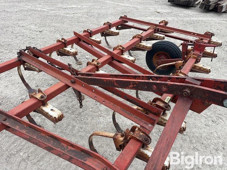 international-45-image-13