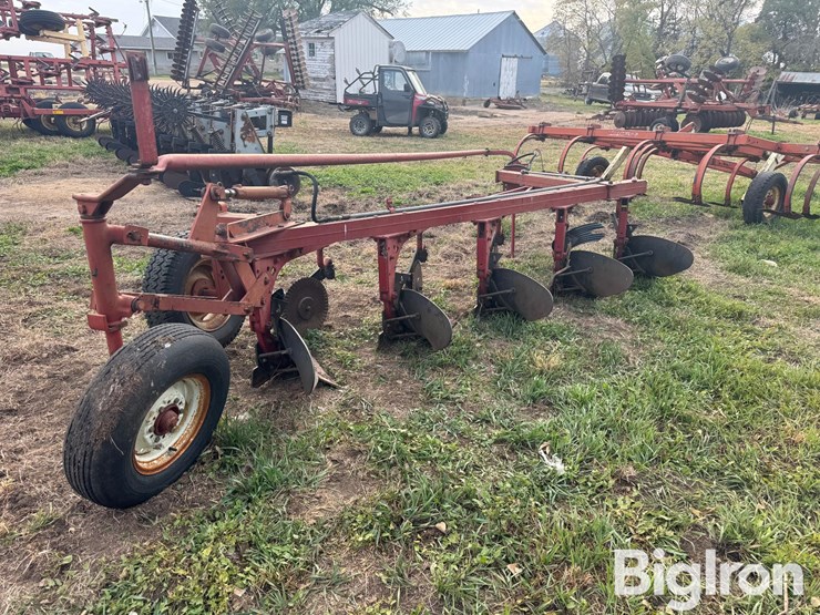 international-5-image-5