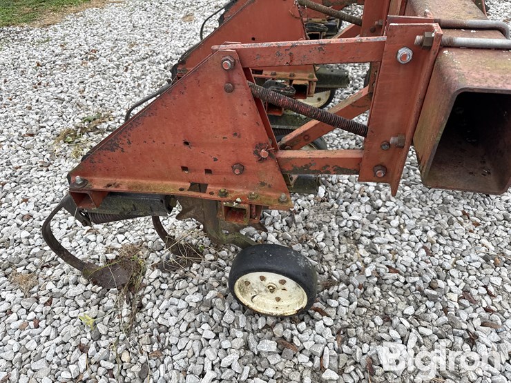 international-183-image-18