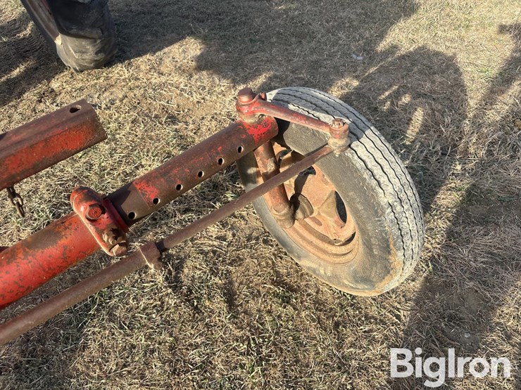 international-c-image-16