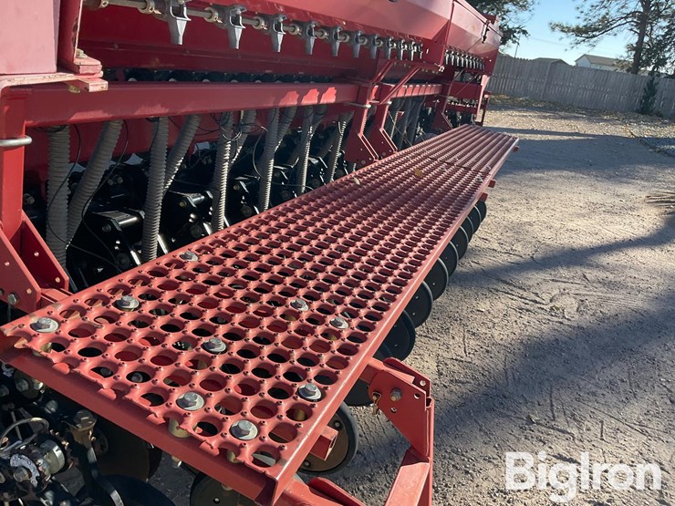 sunflower-9433-40-image-9