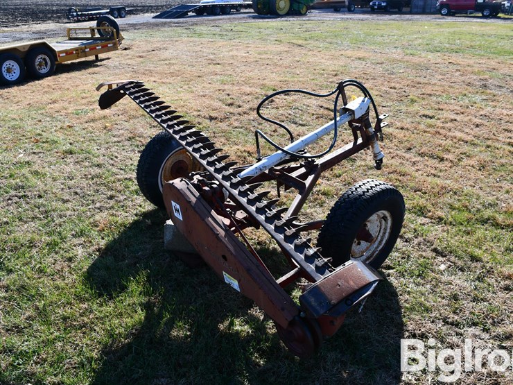 international-7-image-5