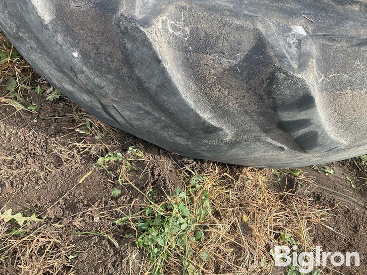 international-8-image-17