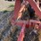 case-ih-4300-image-24