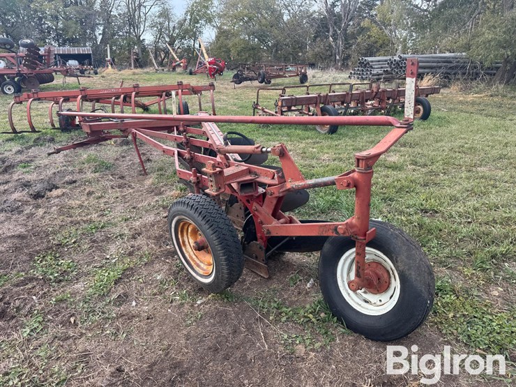 international-5-image-7