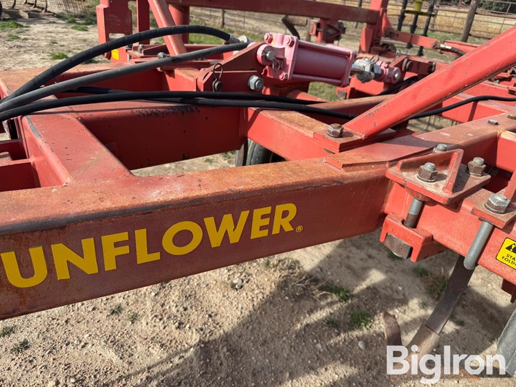 sunflower-2331-image-18