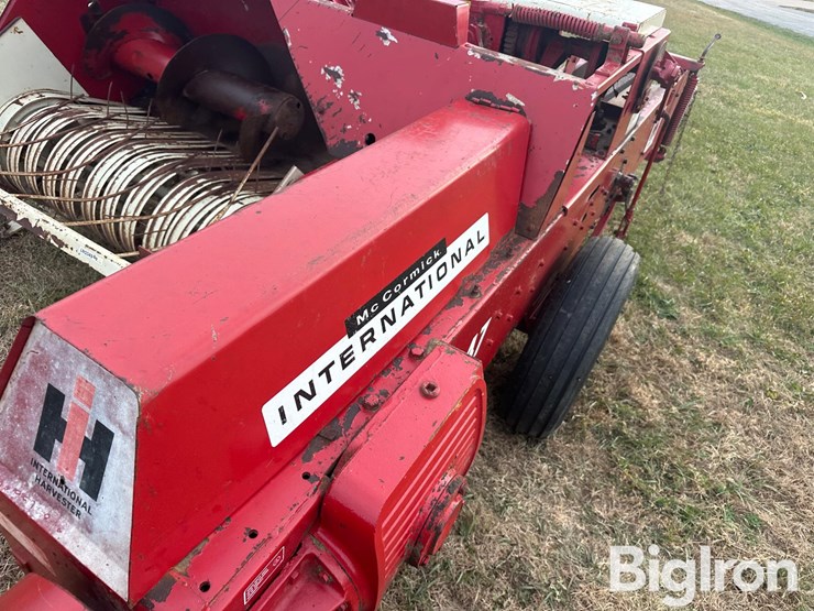 international-47-image-10