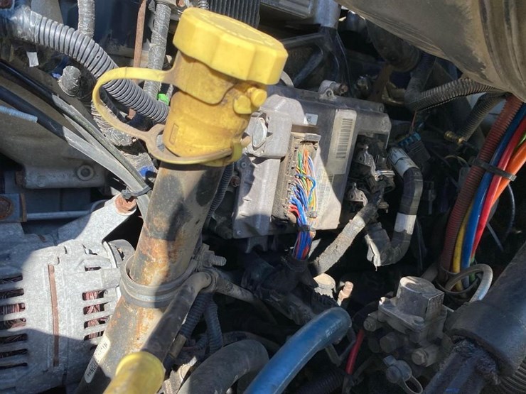 2010-international-415-image-30