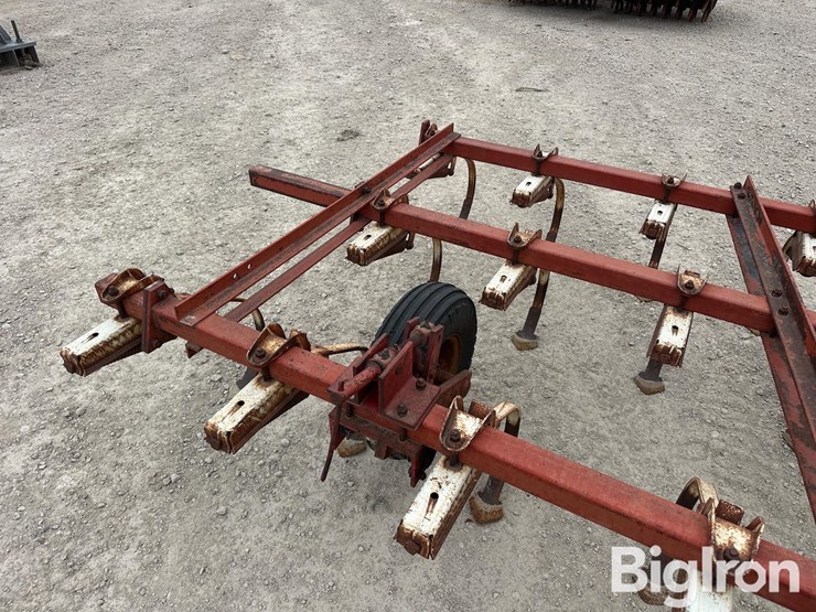 international-45-image-10