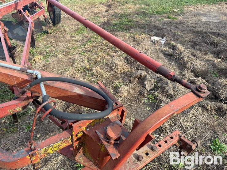 international-5-image-10