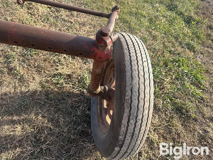 international-c-image-12