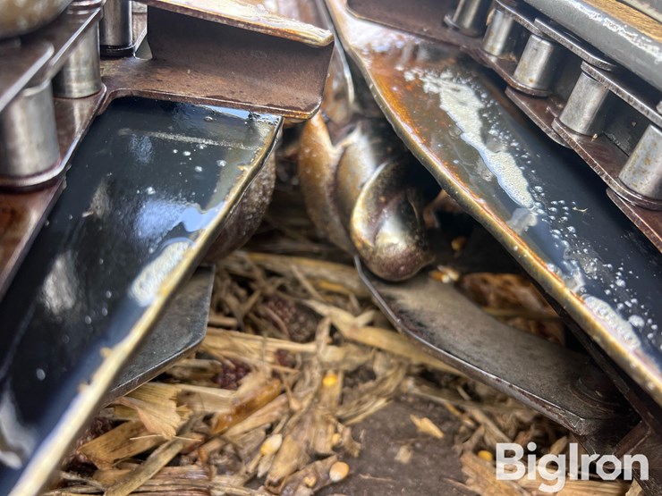 2010-gleaner-gl3000-6-6r30”-corn-head-image-19