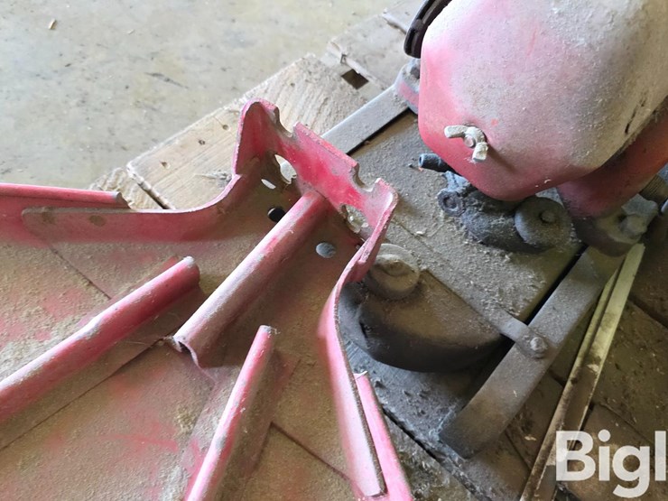 international-15-image-20