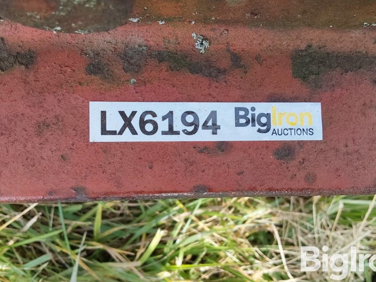 international-55-image-20