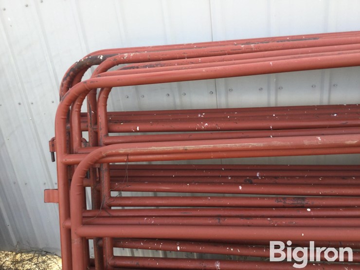 metal-livestock-panels-image-19