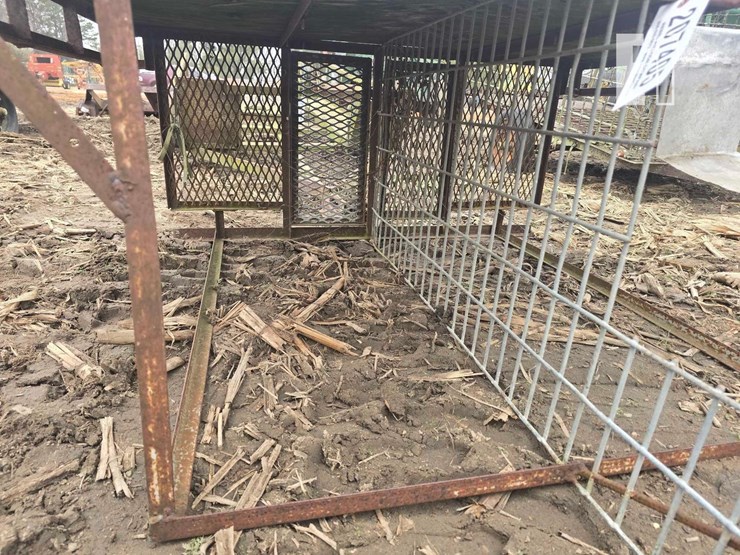 homemade-dog-image-5