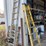 werner-20'-extension-ladder-&-8'-step-ladder-image-17