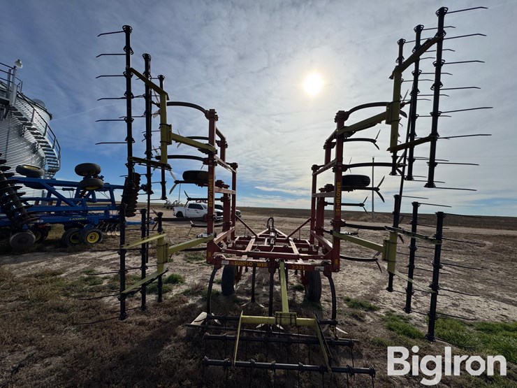 sunflower-2331-image-6