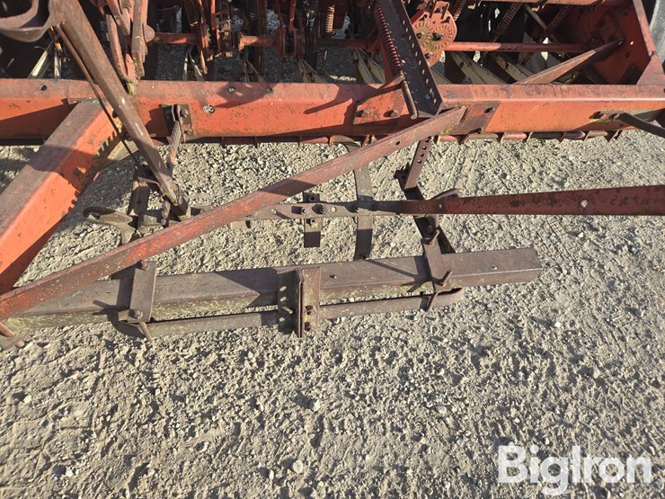 international-10-image-11