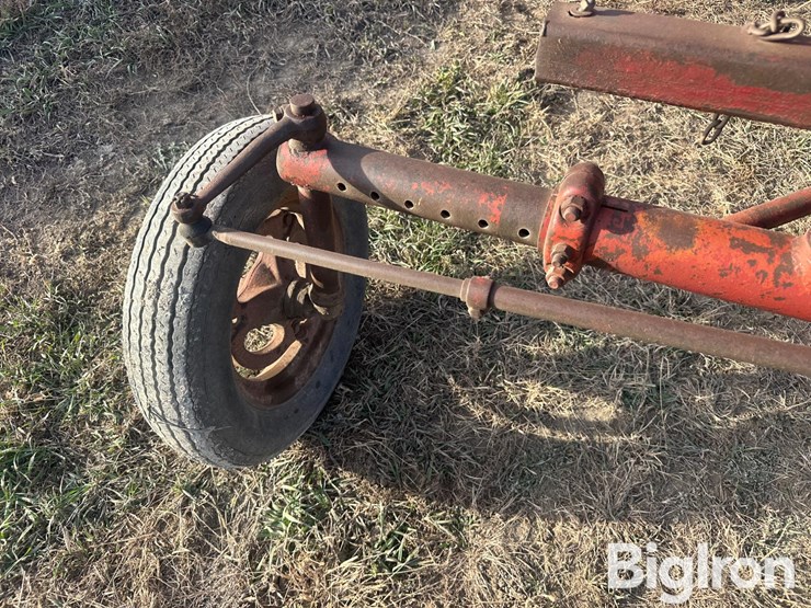 international-c-image-13